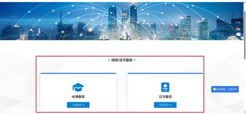 信息技術(shù)咨詢 1+x成績(jī)查詢及職業(yè)技能等級(jí)證書下載超詳細(xì)指南